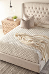 Sloan Standard King Bed in Cream Velvet