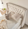 Sloan Standard King Bed in Cream Velvet